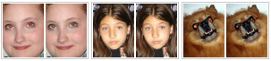 View red-eye correction in pictures