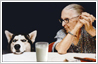 Glass of milk placed on table between dog and old lady to heighten the humour in this photo