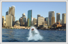 This is a photo editing example in which a normal scene at the Circular Quay in Sydney has been converted to an agressive shark sighting.