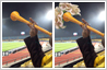 Photo editing used to place White flowers in the bell of the vuvuzela to stop the annoying sound during FIFA 2010.