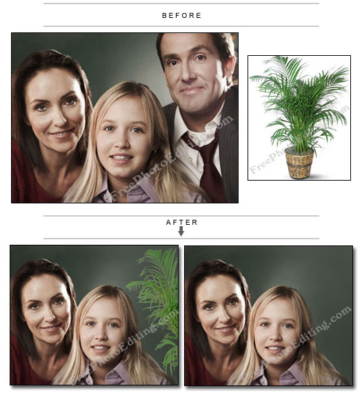 Father / husband removed from family photograph