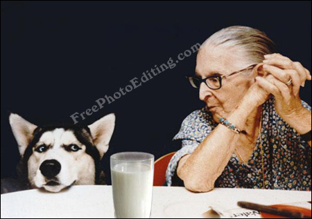 Glass of milk placed between sheepish looking dog and reproachful old woman sitting together at the dining table.