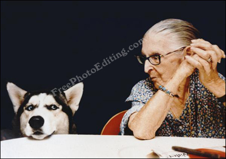 Sheepish / indignant dog sitting at table with old lady looking at him reproachfully.