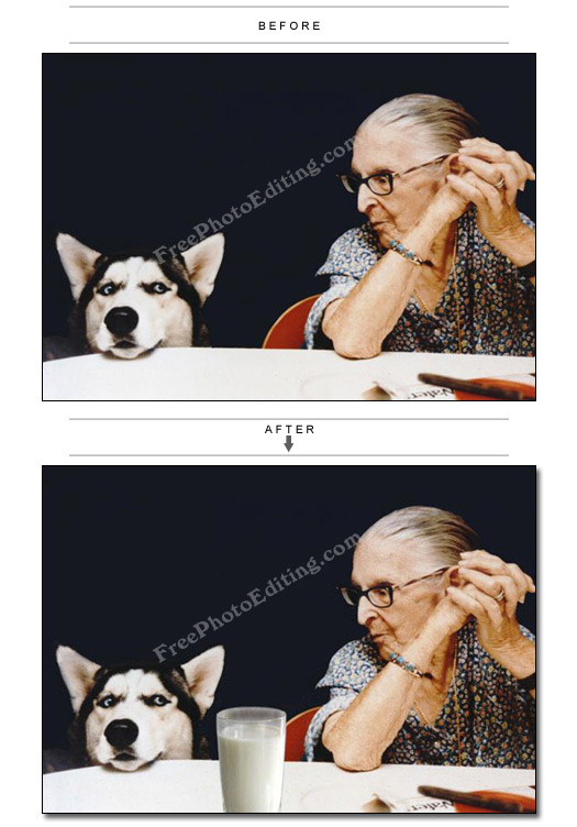 Glass of milk placed between sheepish looking dog and reproachful old woman sitting together at the dining table.