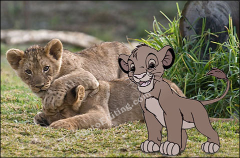 Lion+cub+cartoon