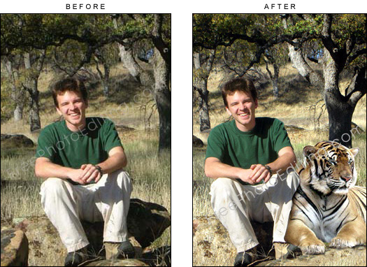 This is a photo editing example in which a tiger has been accommodated beside a young man photographed in a wildlife park.