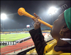 Photo editing required: The vuvuzela needs to be disabled by stuffing flowers into the bell