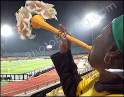 This is a photo editing example in which flowers have been placed inside the vuvuzela to stop the irritating sound.