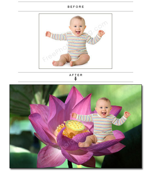 Photo editing service: Make a picture of a baby on a flower.