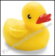 Rubber duck