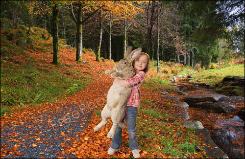 Photo editing example of background change changing indoor scene to outdoor scene