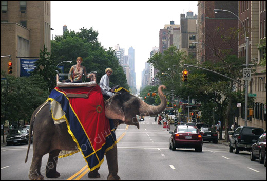 This is a photo manipulation example in which a woman on elephant has been moved from a palace in India to Harlem Road in New York.
