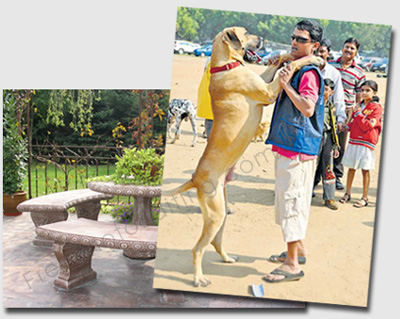 Photo editing: Cut out photo of subjects from photo and place on new background. Then retouch for natural look. The result below.