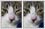 Edit cat's eye