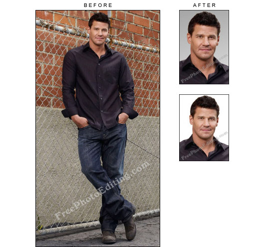 David Boreanaz's formal ID photo made from a 'Bones' promotional picture (coloured & white background).