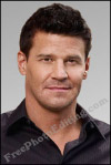David Boreanaz's formal ID photo made from a 'Bones' promotional picture (coloured background).
