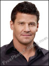 David Boreanaz's formal ID photo made from a 'Bones' promotional picture (white background).