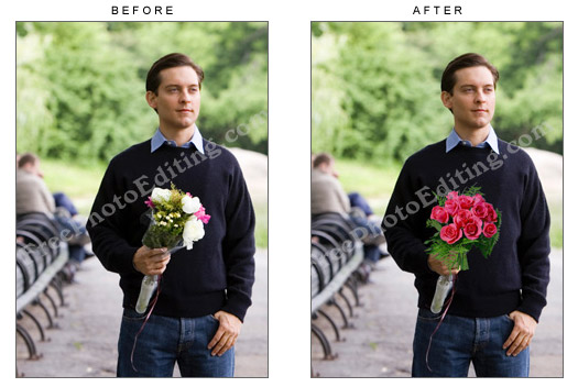 Photo editing: Replace objects in photo
